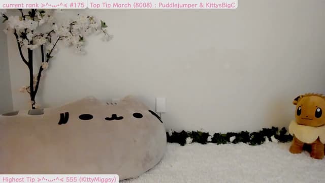 Gallery image thumbnail from Kitty's myfreecams stream on, 04/01/2025, 06:06 image 19 of 20