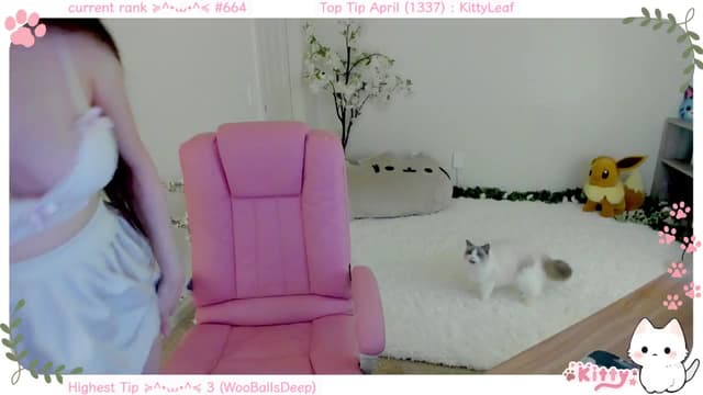 Gallery image thumbnail from Kitty's myfreecams stream on, 04/08/2025, 06:25 image 3 of 20