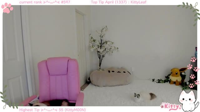 Gallery image thumbnail from Kitty's myfreecams stream on, 04/09/2025, 05:26 image 13 of 20