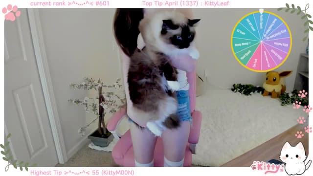 Gallery image thumbnail from Kitty's myfreecams stream on, 04/09/2025, 05:26 image 8 of 20