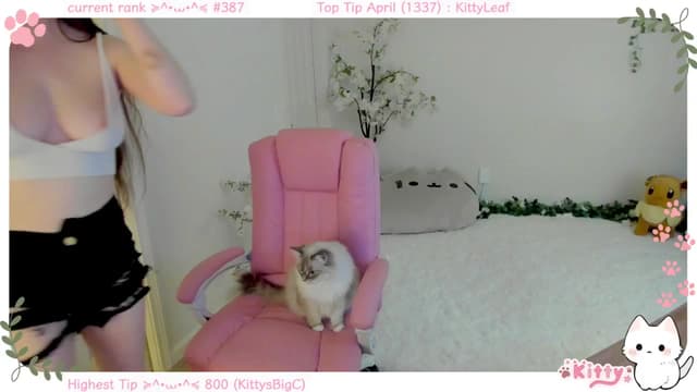 Gallery image thumbnail from Kitty's myfreecams stream on, 04/12/2025, 07:35 image 9 of 20
