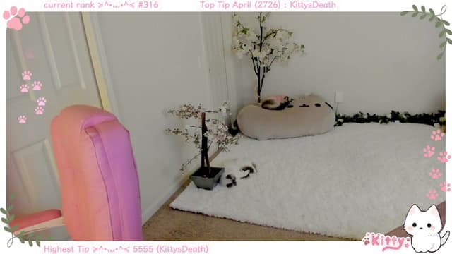 Gallery image thumbnail from Kitty's myfreecams stream on, 04/16/2025, 05:27 image 11 of 20