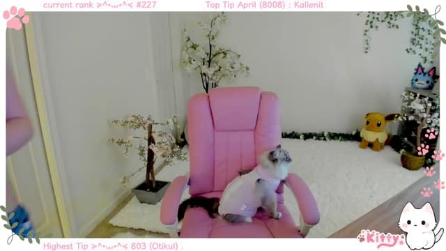 Gallery image thumbnail from Kitty's myfreecams stream on, 04/25/2025, 06:52 image 6 of 20
