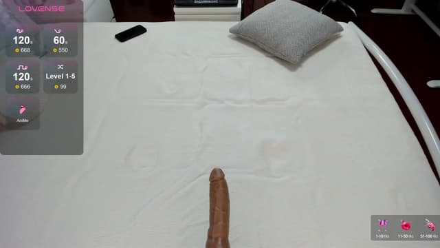 Gallery image thumbnail from Lilie's myfreecams stream on, 08/10/2024, 18:19 image 8 of 20