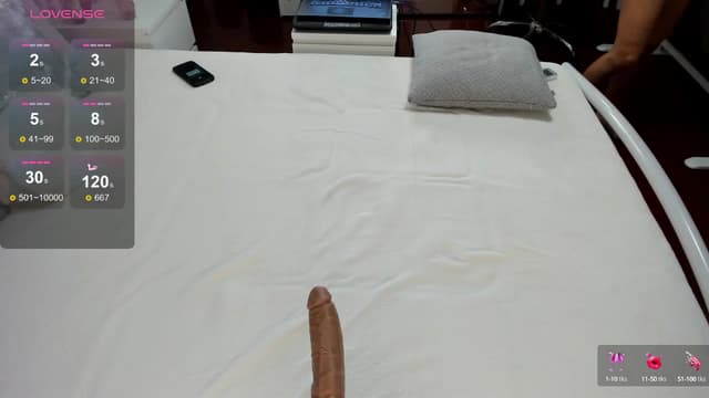 Gallery image thumbnail from Lilie's myfreecams stream on, 08/10/2024, 18:19 image 16 of 20