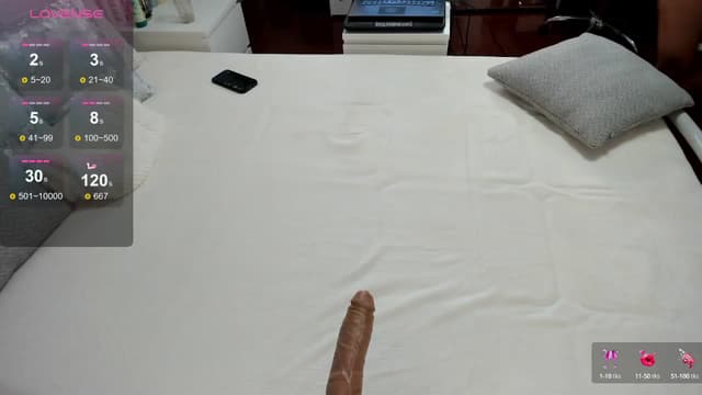 Gallery image thumbnail from Lilie's myfreecams stream on, 08/10/2024, 18:19 image 4 of 20