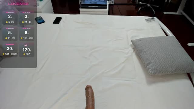 Gallery image thumbnail from Lilie's myfreecams stream on, 08/11/2024, 19:47 image 13 of 20