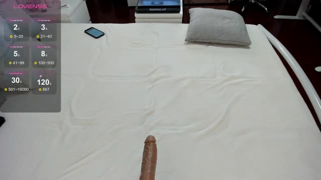 Gallery image thumbnail from Lilie's myfreecams stream on, 08/13/2024, 18:05 image 3 of 20