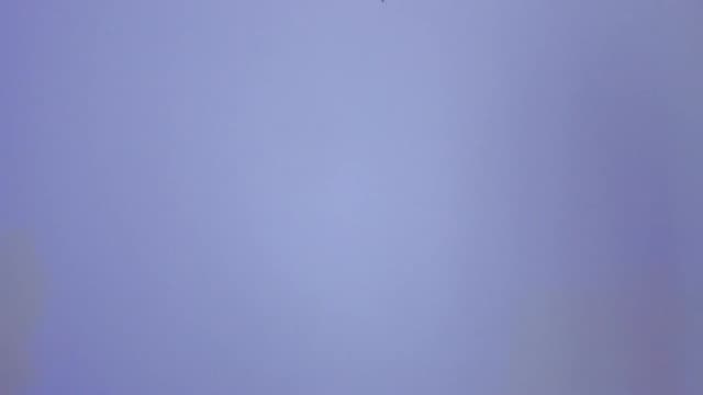 Gallery image thumbnail from LivM_'s myfreecams stream on, 01/25/2024, 09:18 image 12 of 20