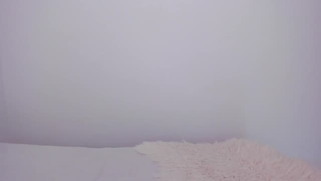 Gallery image thumbnail from LivM_'s myfreecams stream on, 01/25/2024, 09:18 image 18 of 20