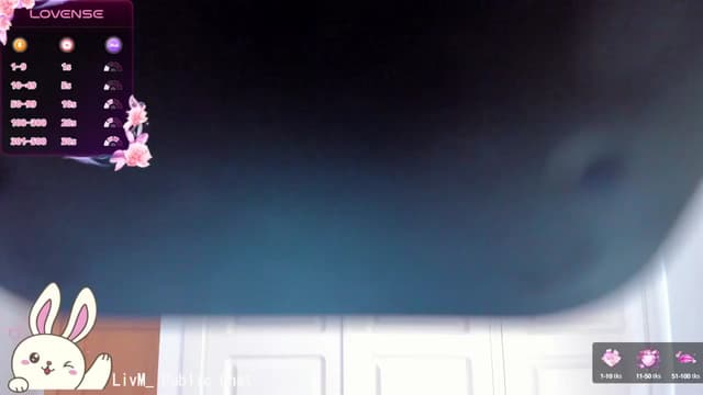 Gallery image thumbnail from LivM_'s myfreecams stream on, 07/29/2024, 09:05 image 5 of 20