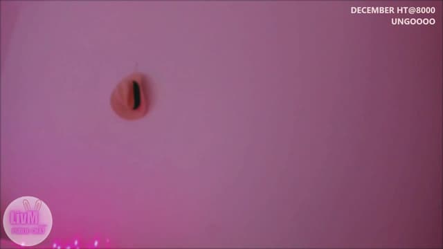 Gallery image thumbnail from LivM_'s myfreecams stream on, 12/21/2025, 10:24 image 8 of 20
