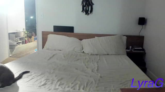 Gallery image thumbnail from LyraG's myfreecams stream on, 12/04/2022, 05:26 image 1 of 20
