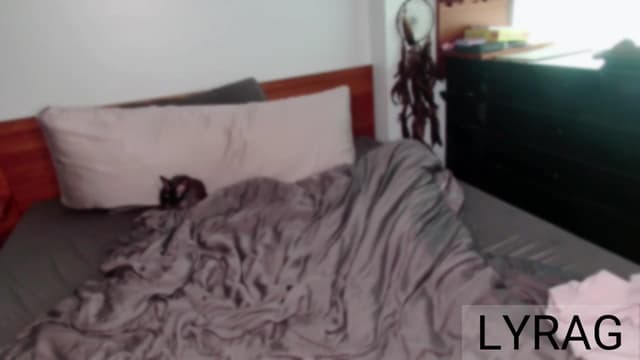 Gallery image thumbnail from LyraG's myfreecams stream on, 04/05/2025, 21:24 image 11 of 20