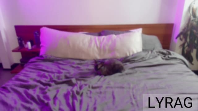 Gallery image thumbnail from LyraG's myfreecams stream on, 04/11/2025, 22:24 image 2 of 20