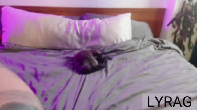 Gallery image thumbnail from LyraG's myfreecams stream on, 04/11/2025, 22:24 image 7 of 20