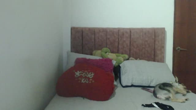 Gallery image thumbnail from Mao02's myfreecams stream on, 05/24/2024, 10:57 image 20 of 20