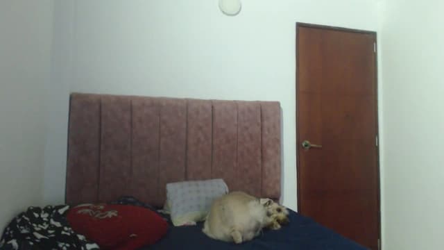 Gallery image thumbnail from Mao02's myfreecams stream on, 06/03/2024, 12:11 image 2 of 20