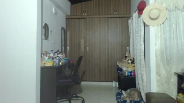 Gallery image thumbnail from Mao02's myfreecams stream on, 06/05/2024, 08:42 image 4 of 20