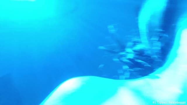 Gallery image thumbnail from Marie's myfreecams stream on, 05/17/2023, 04:19 image 11 of 20