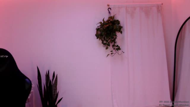 Gallery image thumbnail from Marie's myfreecams stream on, 03/09/2024, 04:05 image 11 of 20