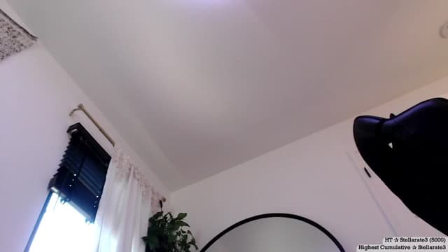 Gallery image thumbnail from Marie's myfreecams stream on, 08/01/2024, 24:02 image 18 of 20