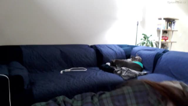 Gallery image thumbnail from Marie's myfreecams stream on, 03/12/2025, 24:02 image 13 of 20