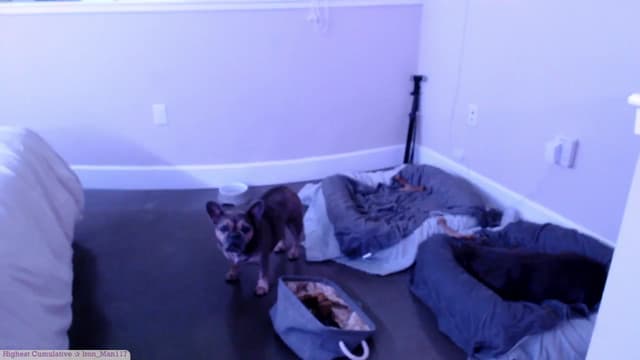 Gallery image thumbnail from Marie's myfreecams stream on, 05/17/2025, 24:30 image 20 of 20