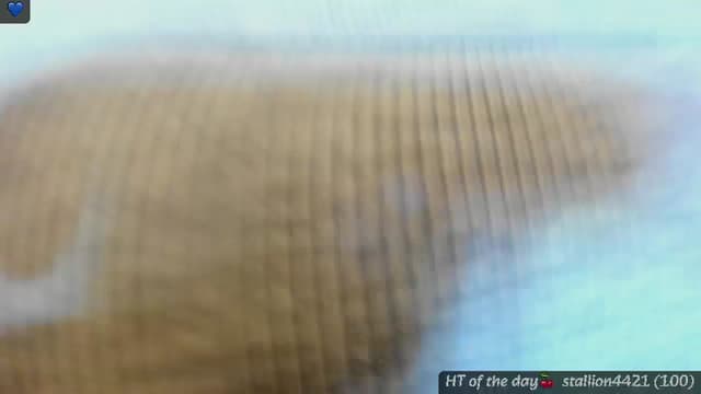 Gallery image thumbnail from Mi_Ha's myfreecams stream on, 06/06/2025, 15:39 image 14 of 20