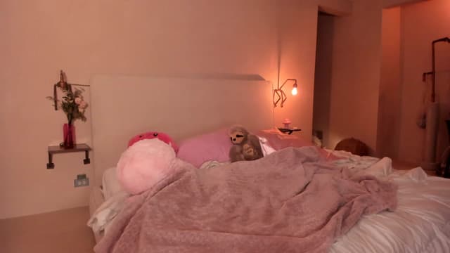 Gallery image thumbnail from Mochi's myfreecams stream on, 04/30/2023, 02:29 image 13 of 20