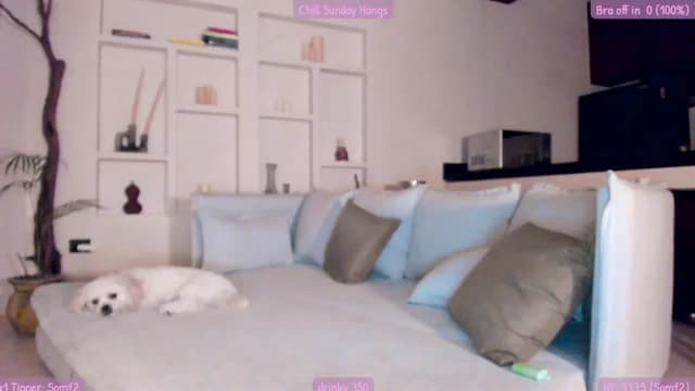 Gallery image thumbnail from Mochi's myfreecams stream on, 08/14/2023, 06:29 image 12 of 20