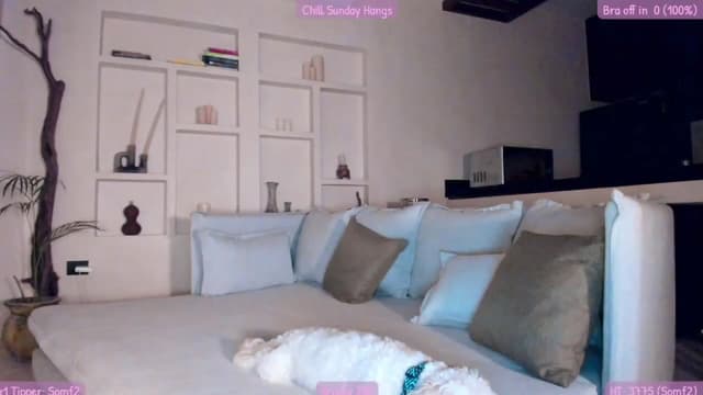 Gallery image thumbnail from Mochi's myfreecams stream on, 08/14/2023, 06:29 image 4 of 20