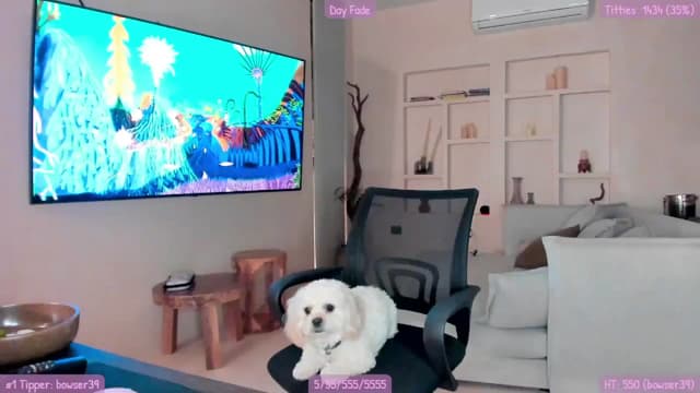 Gallery image thumbnail from Mochi's myfreecams stream on, 09/03/2023, 02:46 image 18 of 20