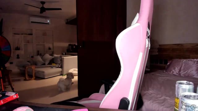 Gallery image thumbnail from Mochi's myfreecams stream on, 09/19/2023, 07:20 image 7 of 20