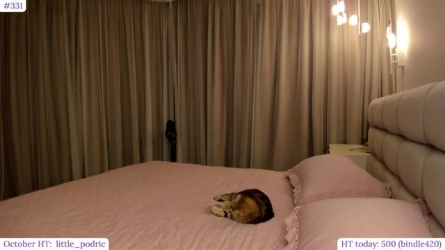 Gallery image thumbnail from Muse_'s myfreecams stream on, 10/04/2024, 22:31 image 9 of 20
