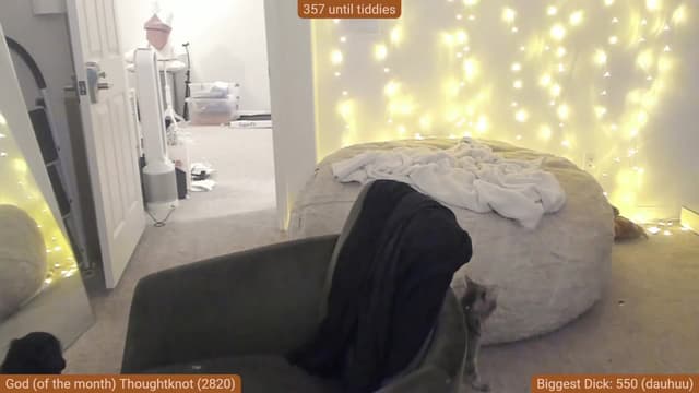 Gallery image thumbnail from Nami_'s myfreecams stream on, 12/08/2023, 04:09 image 9 of 20
