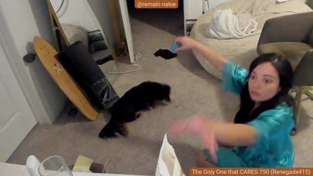 Gallery image thumbnail from Nami_'s myfreecams stream on, 04/21/2024, 07:37 image 19 of 20