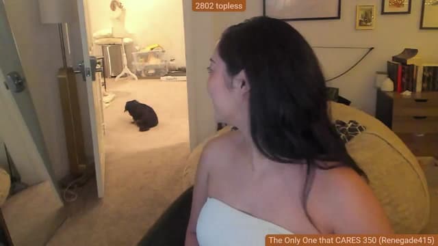 Gallery image thumbnail from Nami_'s myfreecams stream on, 06/27/2024, 04:07 image 11 of 20