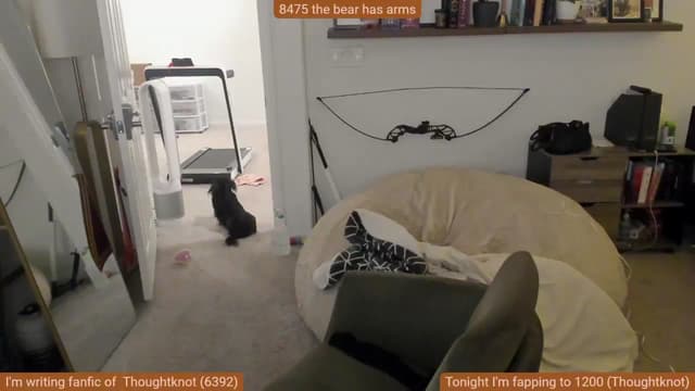 Gallery image thumbnail from Nami_'s myfreecams stream on, 12/08/2024, 05:19 image 14 of 20