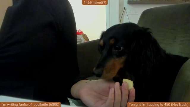 Gallery image thumbnail from Nami_'s myfreecams stream on, 08/31/2025, 05:46 image 12 of 20
