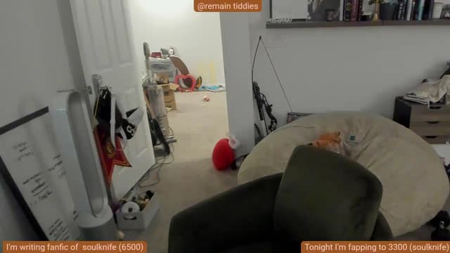 Gallery image thumbnail from Nami_'s myfreecams stream on, 11/09/2025, 12:52 image 11 of 20