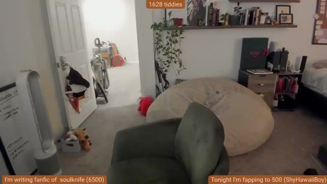 Gallery image thumbnail from Nami_'s myfreecams stream on, 11/15/2025, 13:21 image 3 of 20