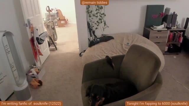 Gallery image thumbnail from Nami_'s myfreecams stream on, 11/16/2025, 07:36 image 10 of 20