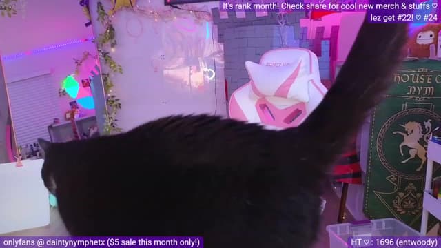 Gallery image thumbnail from Nym_x's myfreecams stream on, 07/05/2023, 04:10 image 5 of 20