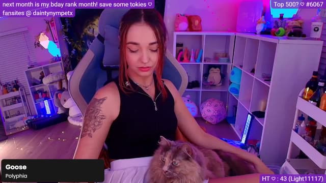 Gallery image thumbnail from Nym_x's myfreecams stream on, 11/07/2024, 03:42 image 2 of 20