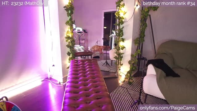 Gallery image thumbnail from Paige's myfreecams stream on, 02/04/2023, 06:46 image 14 of 20