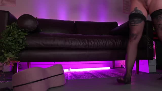 Gallery image thumbnail from Paige's myfreecams stream on, 06/11/2023, 05:19 image 11 of 20