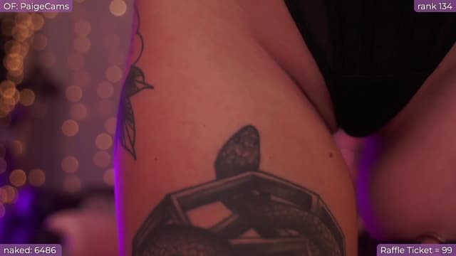 Gallery image thumbnail from Paige's myfreecams stream on, 09/16/2024, 04:03 image 13 of 20
