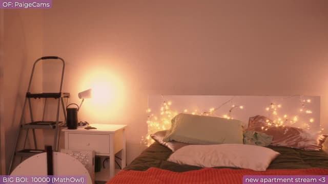 Gallery image thumbnail from Paige's myfreecams stream on, 10/22/2024, 03:41 image 18 of 20