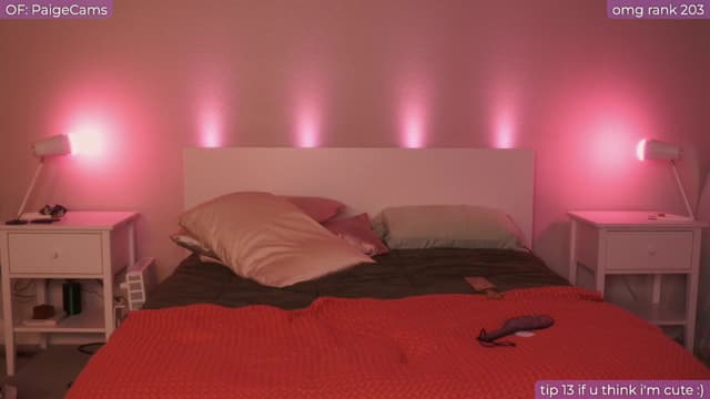 Gallery image thumbnail from Paige's myfreecams stream on, 10/27/2024, 04:16 image 11 of 20